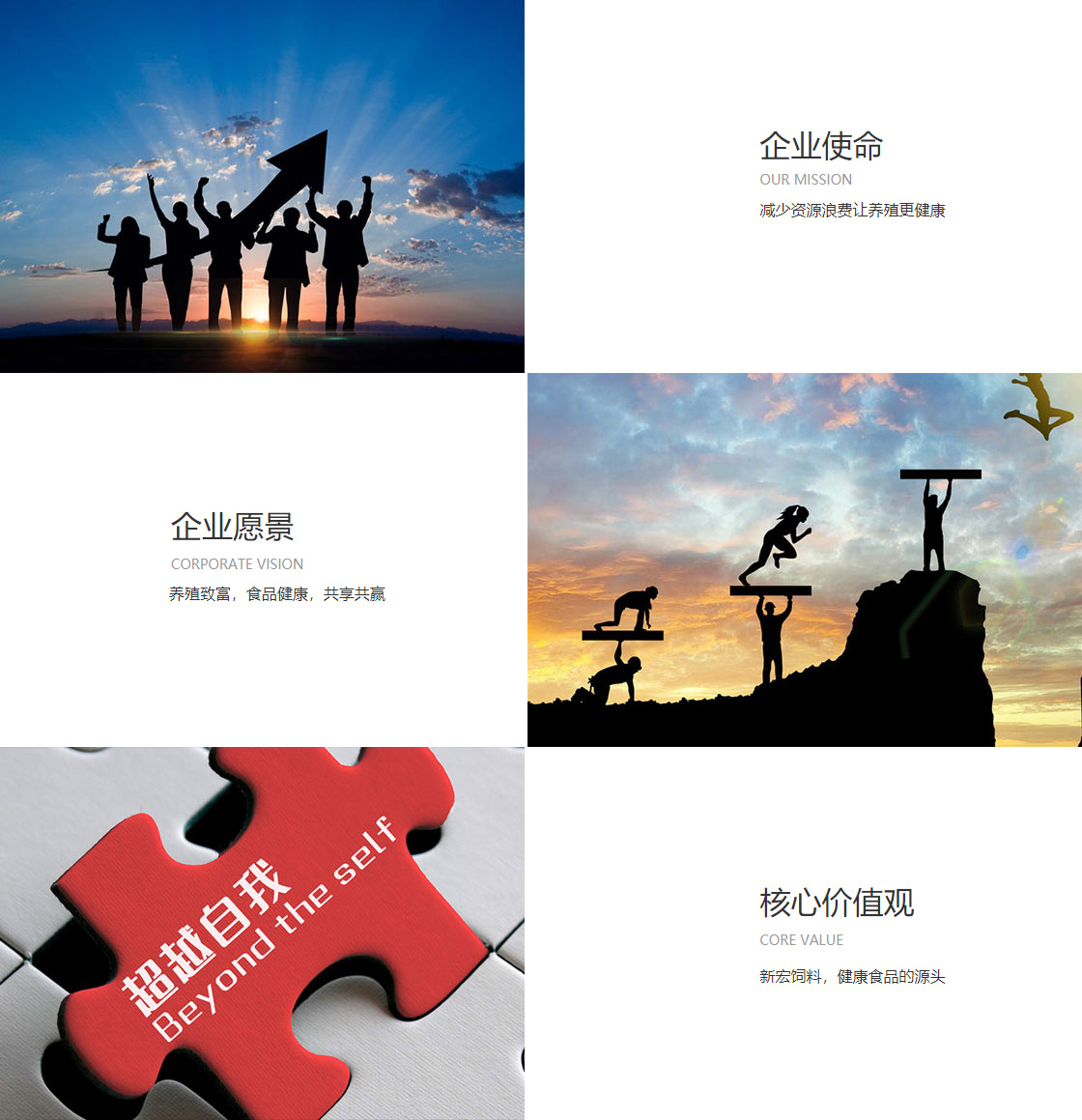凯发天生赢家一触即发首页(图1)